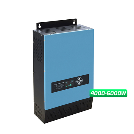 LS Pure Sine Wave Inverter 4000W-6000W 24V/48V Factory